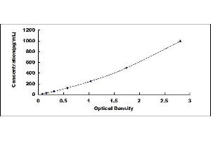 Typical standard curve (IFNB1 ELISA Kit)