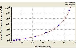 Typical Standard Curve (PIN1 ELISA Kit)