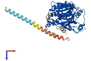 AlphaFold protein structure predicition of Mouse Recombinant Galntl5 Protein, UniprotID Q9D4M9 (GALNTL5 Protein (AA 1-431) (His tag))