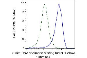 Validation of G-rich RNA sequence binding factor 1 knockdown using flow cytometry.