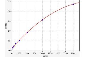 Typical standard curve (ZBTB3 ELISA Kit)