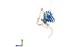 AlphaFold protein structure predicition of Mouse Recombinant Bves Protein, UniprotID Q9ES83