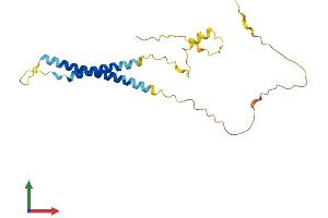 Protein Structure (PS) image for Neurensin 2 (NRSN2) (AA 1-204) protein (His tag) (ABIN7549959)