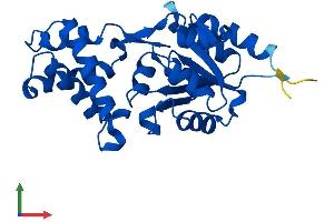 AlphaFold protein structure predicition of Mouse Recombinant Hdhd3 Protein, UniprotID Q9CYW4