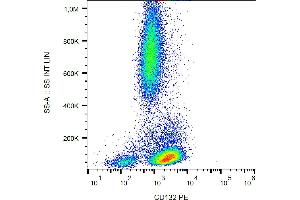 Flow cytometry analysis (surface staining) of human peripheral blood with anti-CD132 (TUGh4) PE.