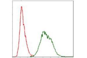 Flow cytometric analysis of Hela cells using UBB mouse mAb (green) and negative control (red). (Ubiquitin B antibody)