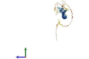 Protein Structure (PS) image for Basic Leucine Zipper Nuclear Factor 1 (BLZF1) (AA 1-400) protein (His tag) (ABIN7548090)