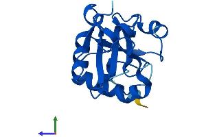 AlphaFold protein structure predicition of Mouse Recombinant Prorsd1 Protein, UniprotID Q9D820 (PRORSD1 Protein (AA 1-169) (His tag))