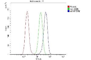 Flow Cytometry analysis of A549 cells using anti-Androgen Receptor/AR antibody (ABIN7602200). (Androgen Receptor antibody  (AA 629-920))