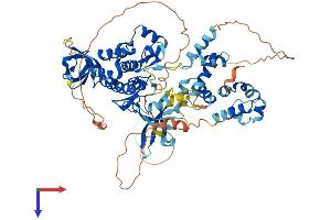 AlphaFold protein structure predicition of Human Recombinant TNK1 Protein, UniprotID Q13470 (TNK1 Protein (AA 1-666) (His tag))