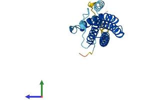 Protein Structure (PS) image for Cardiotrophin 1 (CTF1) (AA 1-203) protein (His tag) (ABIN7557601)