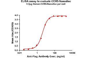 ELISA image for Chemokine (C-C Motif) Receptor 5 (CCR5) protein (ABIN7491564)