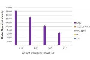 Cas9 antibody (rAb) tested by bead-based specificity analysis. (Recombinant CRISPR-Cas9 antibody)