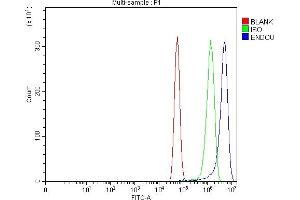 Flow Cytometry analysis of U87 cells using anti-PP11/ENDOU antibody (ABIN7600552). (ENDOU antibody  (AA 20-386))
