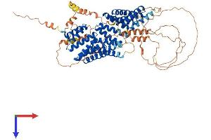 GPSM2 Protein (AA 1-679) (His tag)