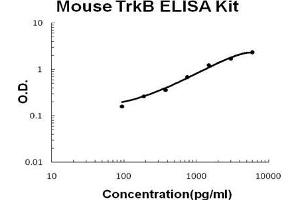 Mouse TrkB PicoKine ELISA Kit standard curve