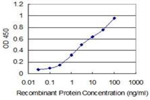 Detection limit for recombinant GST tagged SNAPC4 is 0. (SNAPC4 antibody  (AA 53-162))
