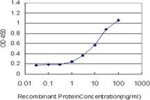 Detection limit for recombinant GST tagged PDGFRB is approximately 1ng/ml as a capture antibody. (PDGFRB antibody  (AA 33-133))