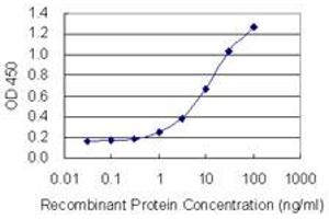 Detection limit for recombinant GST tagged PRR4 is 0. (PRR4 antibody  (AA 17-116))