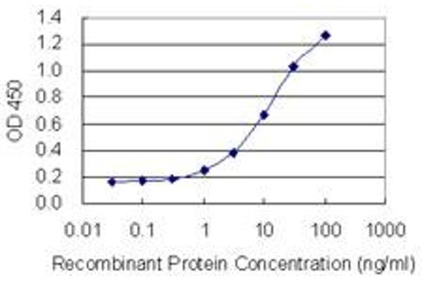 PRR4 antibody  (AA 17-116)
