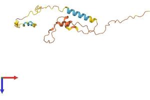 AlphaFold protein structure predicition of Human Recombinant SERTAD4-AS1 Protein, UniprotID Q5TG53