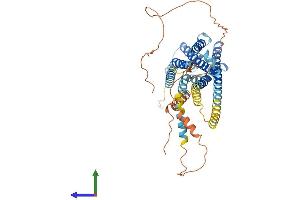 AlphaFold protein structure predicition of Mouse Recombinant Ptger4 Protein, UniprotID P32240