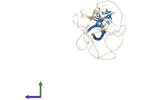 AlphaFold protein structure predicition of Mouse Recombinant Mprip Protein, UniprotID P97434 (MPRIP Protein (AA 1-1024) (His tag))