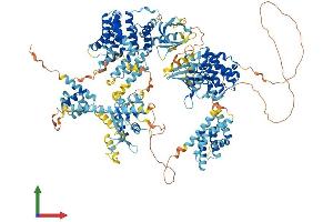 AlphaFold protein structure predicition of Mouse Recombinant Map3k6 Protein, UniprotID Q9WTR2 (MAP3K6 Protein (AA 1-1291) (His tag))
