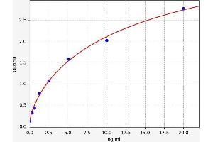 SDHD ELISA Kit