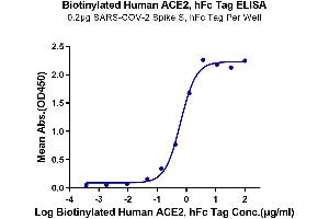 Immobilized SARS-COV-2 Spike S, hFc Tag at 2 μg/mL (100 μL/well) on the plate. (ACE2 Protein (AA 18-740) (Fc-Avi Tag,Biotin))