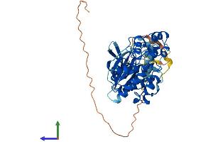 AlphaFold protein structure predicition of Mouse Recombinant Mapk9 Protein, UniprotID Q9WTU6 (JNK2 Protein (AA 1-423) (His tag))