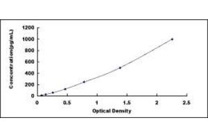 Typical standard curve (IL-6 ELISA Kit)