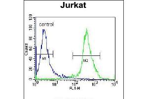 Flow cytometric analysis of Jurkat cells (right histogram) compared to a negative control cell (left histogram).