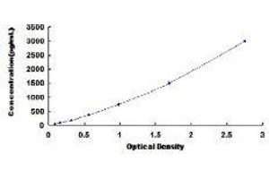 ELISA image for Insulin-Like Growth Factor 2 (IGF2) ELISA Kit (ABIN416243)