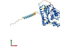 AlphaFold protein structure predicition of Mouse Recombinant B3gnt6 Protein, UniprotID Q3USF0