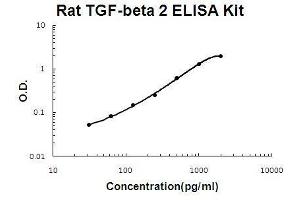 Rat TGF-beta 2 PicoKine ELISA Kit standard curve (TGFB2 ELISA Kit)