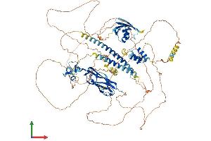 AlphaFold protein structure predicition of Human Recombinant NBR1 Protein, UniprotID Q14596 (NBR1 Protein (AA 1-966) (His tag))