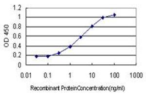 Detection limit for recombinant GST tagged ARHGAP6 is approximately 0. (ARHGAP6 antibody  (AA 531-636))
