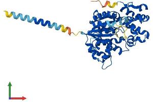 AlphaFold protein structure predicition of Mouse Recombinant Chst4 Protein, UniprotID Q9R1I1 (CHST4 Protein (AA 1-388) (His tag))