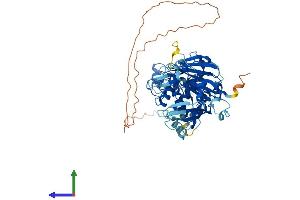 AlphaFold protein structure predicition of Human Recombinant USP39 Protein, UniprotID Q53GS9