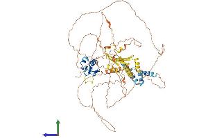 AlphaFold protein structure predicition of Human Recombinant RNF6 Protein, UniprotID Q9Y252 (RNF6 Protein (AA 1-685) (His tag))