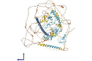 Protein Structure (PS) image for Myelin Transcription Factor 1 (MYT1) (AA 1-1127) protein (His tag) (ABIN7564554)