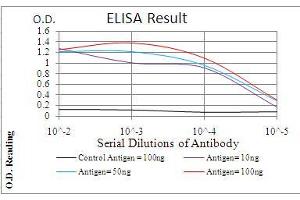 Black line: Control Antigen (100 ng), Purple line: Antigen(10 ng), Blue line: Antigen (50 ng), Red line: Antigen (100 ng),