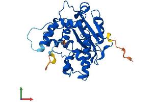 AlphaFold protein structure predicition of Mouse Recombinant Cnot7 Protein, UniprotID Q60809