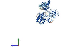 Protein Structure (PS) image for Feline Sarcoma Oncogene (FES) (AA 1-822) protein (His tag) (ABIN7553929)