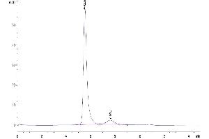 The purity of Human LTBR is greater than 92 % as determined by SEC-HPLC. (FGL1 Protein (AA 64-305) (Fc Tag))