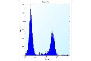 C Antibody (C-term) (ABIN654740 and ABIN2844426) flow cytometric analysis of Neuro-2a cells (right histogram) compared to a negative control cell (left histogram). (CF153 (AA 230-259), (C-Term) antibody)