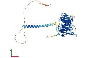 Protein Structure (PS) image for Ribosomal RNA Processing 9, Small Subunit (SSU) Processome Component, Homolog (RRP9) (AA 1-475) protein (His tag) (ABIN7560045)
