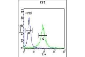 WTX Antibody (Center) (ABIN390467 and ABIN2840835) flow cytometric analysis of 293 cells (right histogram) compared to a negative control cell (left histogram). (WTX antibody  (AA 681-708))