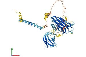 AlphaFold protein structure predicition of Mouse Recombinant Syt12 Protein, UniprotID Q920N7